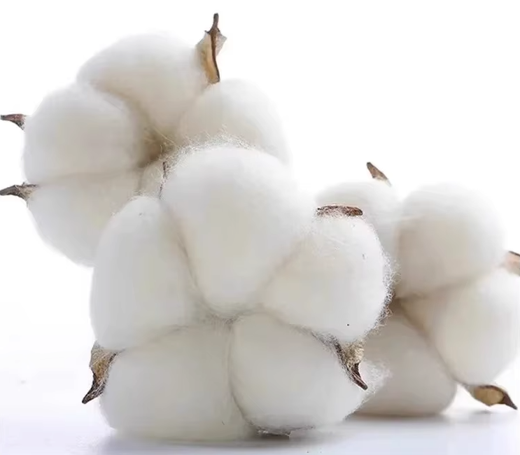 Perna nou-născuți și copii